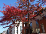 Oxford appartementencomplex